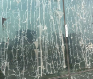 Dán decal thường dễ bong tróc