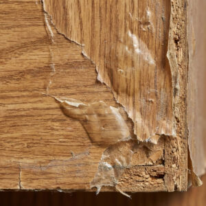 Film dán gỗ kém chất lượng